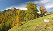 32 Si sfiorano bellissimi e vetusti larici, versione del 19 8bre...